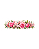 Transfer Termocolante DTF Barrado 27x11cm Floral - Imagem 2