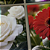 Kit 4 Quadros Decorativos Flores: Rosas, Orquídeas, Girassol e Gérberas - Imagem 4