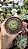 CRASSULA HEMISPHAERICA POTE 9 - Imagem 1