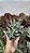 SENECIO KLEINIIFORMIS POTE 7 - Imagem 1