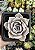 E. LILACINA POTE 7 - Imagem 1