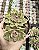 SEDUM EBRACTEATUM POTE 9 - Imagem 1