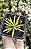 PEPEROMIA FERREYRAE POTE 7 - Imagem 1