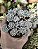 GRAP. PACHYPHYLLUM BLUE BEAN POTE - Imagem 1