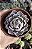 ALCACHOFRA SHAVIANA POTE 9 - Imagem 1