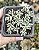 SEDUM BLUE CARPET POTE 7 - Imagem 1