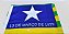 Bandeira do Estado do Piaui - Imagem 2