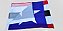 Bandeira do Estado do Maranhão - Imagem 2