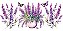 TRANSFER TÊXTIL 27,5X12,8CM TTB5L-008 BARRADO LAVANDA - Imagem 1