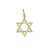 Pingente de Ouro Masculino Estrela Davi Folheado - Imagem 1