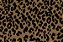 Lonita 24x40cm  estampas animal print para laços em geral - Imagem 6