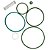 Kit Reparo Válvula Admissão RH38 Similar 148.102 para Puma - Imagem 1