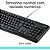 Kit Teclado e Mouse Com Fio USB Logitech MK120 Preto [F002] - Imagem 7