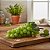 Cacho de Uva Artificial Realista 14 cm – Decoração Durável e Estilo Natural - Imagem 1