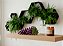 Cacho de Uva Artificial Realista 24 cm – Decoração Durável e Estilo Natural - Imagem 4