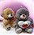 Urso - Imagem 1