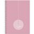 Caderno 10X1 Capa Dura Office Color 160F PCT.C/04 - Imagem 10