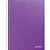 Caderno 01X1 Capa Dura Graffiato Lilas 120F PCT.C/04 - Imagem 1