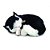 Perfect PETZZZ Filhote Gato BLACK e White Shorthair - Imagem 2