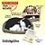 Perfect PETZZZ Filhote Gato BLACK e White Shorthair - Imagem 3