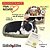 Perfect PETZZZ Filhote Cachorro Buldog Frances - Imagem 2