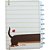 Caderno Inteligente Medio PETS Dolcinho 80FLS - Imagem 3