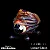 Silver Orange Striking Borealis - Lunar Glass - COE33 - Imagem 1