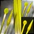 Exp. Dense Yellow Opal Rod - Greasy Glass - COE33 - Imagem 1