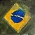 Lenço Brasil - Imagem 3