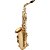 Sax Alto Schieffer Mi Bemol (Eb) c/ Corpo Laqueado - Completo e Estojo em Canvas # SCHAS-001 - Imagem 2