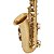 Sax Alto Schieffer Mi Bemol (Eb) c/ Corpo Laqueado - Completo e Estojo em Canvas # SCHAS-001 - Imagem 3