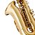 Sax Alto Schieffer Mi Bemol (Eb) c/ Corpo Laqueado - Completo e Estojo em Canvas # SCHAS-001 - Imagem 5