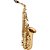 Sax Alto Schieffer Mi Bemol (Eb) c/ Corpo Laqueado - Completo e Estojo em Canvas # SCHAS-001 - Imagem 1
