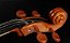 Violoncelo Eagle 4/4 Profissional Envernizado - #CE200-4/4 - Imagem 2