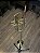 Trompete Triunfal Bb Schieffer corpo dourado - SCHTP-009 - Imagem 2