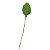 Folha de Rosa 60 unid. Verde Claro - 00C - Imagem 1