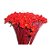 Congonha Desidratada Natural para Decoração e Arranjos - Imagem 5