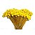 Congonha Desidratada Natural para Decoração e Arranjos - Imagem 3