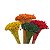 Espeta Nariz Flor Seca para Decoração - Imagem 1