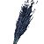 Kit Capim Brinco - Flor Seca Decorativa - 10 unid. - Imagem 9