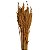 Kit Capim Brinco - Flor Seca Decorativa - 10 unid. - Imagem 2