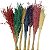 Kit Capim Brinco - Flor Seca Decorativa - 10 unid. - Imagem 1