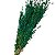 Kit Capim Brinco - Flor Seca Decorativa - 10 unid. - Imagem 10