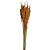 Capim Brinco - Flor Seca Decorativa - Imagem 3