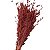 Capim Brinco - Flor Seca Decorativa - Imagem 7