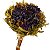 Buquê de Flores Secas - Hortênsia - Imagem 6