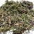 Musgo 400g - Imagem 1
