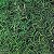 Musgo Barba da Serra Verde 30g - Imagem 1