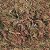 Musgo Sphagnum 300g - Imagem 1