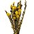 FLOR SECA MARAPUAMA - Imagem 7